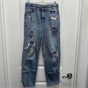 American Eagle Outfitters Relaxed Mom Jean